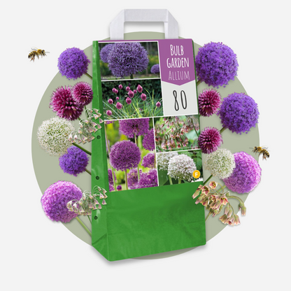 Mélange de bulbes Ail - Set de 160 - Allium - Bulbes à fleurs - TD Plantz
