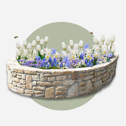 Bulb Garden NJ Blue - 250 pcs. - Flower Bulbs - Blue