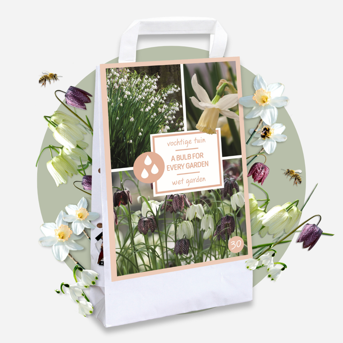 Wet Garden Box - 30 flower bulbs for moist and rainy locations