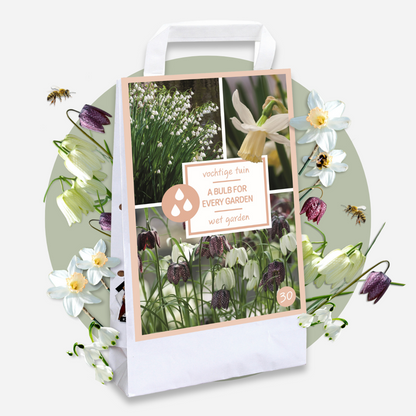 Wet Garden Box - 30 flower bulbs for moist and rainy locations