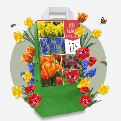 Bulb Garden Colourful - 250 pcs. - Flower Bulbs