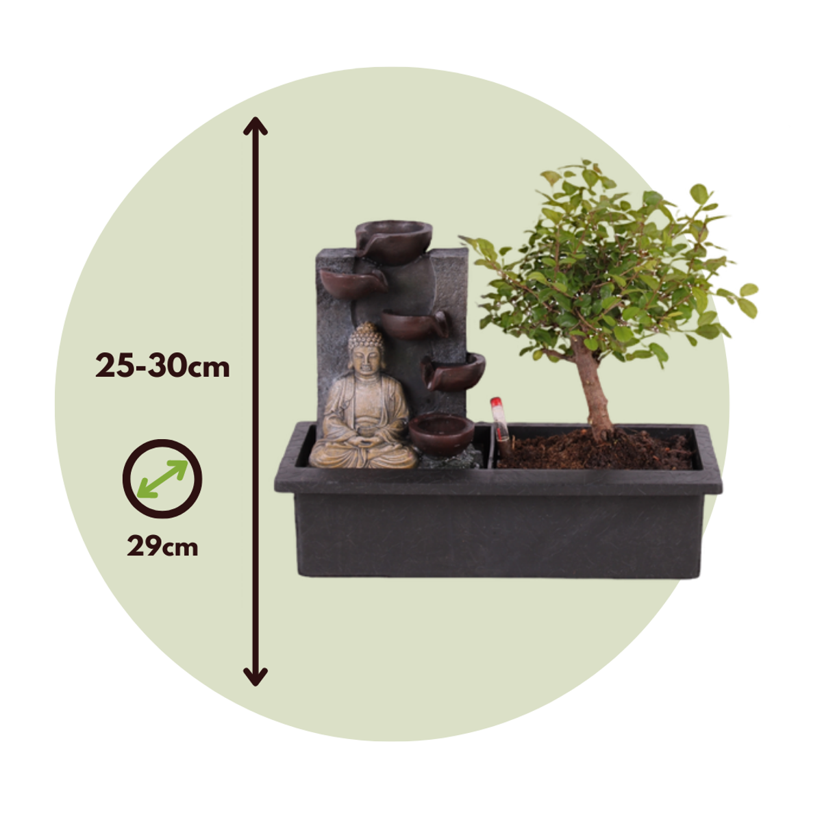 Waterval Buddha - Bonsai - Height 25-35cm - ⌀29cm