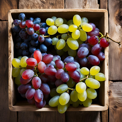 Vigne à raisin - Set de 3 - Vitis vinifera - Hauteur 25-40cm - ⌀9cm