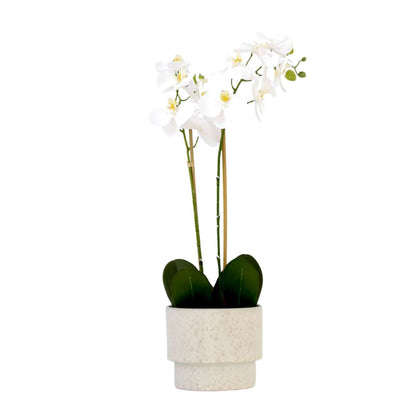Orchidée Phalaenopsis artificielle - Hauteur 55cm