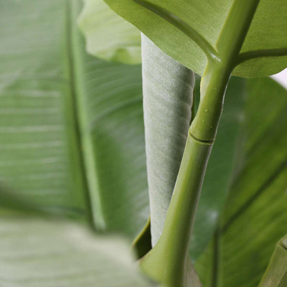 Bananier Musa artificiel - Hauteur 150cm