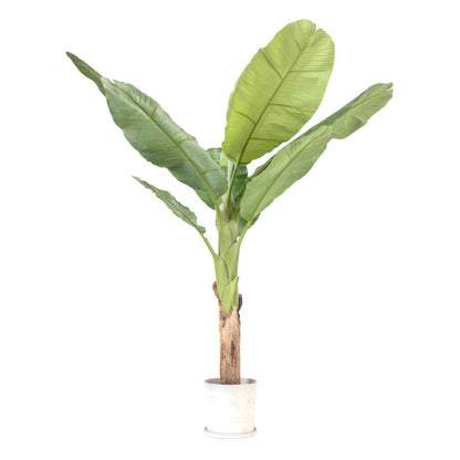 Bananier Musa artificiel - Hauteur 150cm