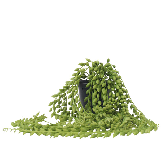 Senecio artificiel - Hauteur 90cm