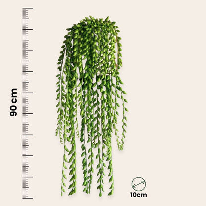 Senecio artificiel - Hauteur 90cm