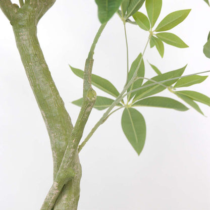 Pachira artificiel - Hauteur 120cm