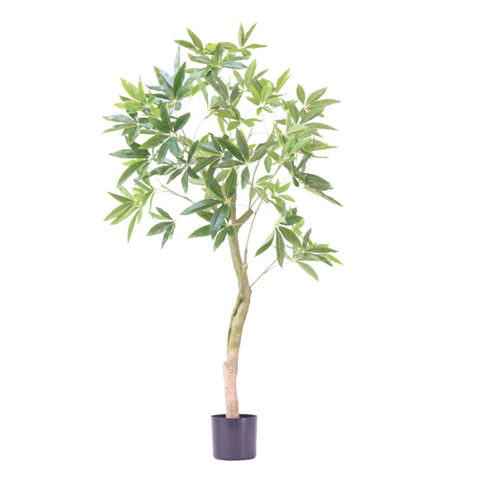 Pachira artificiel - Hauteur 120cm