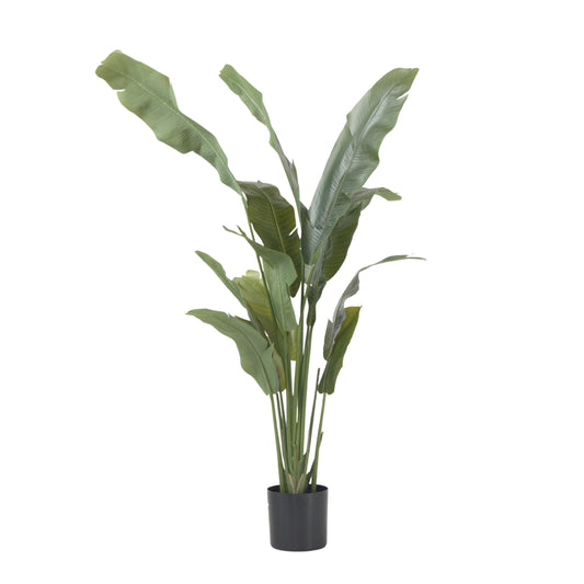 Strelitzia artificiel - Hauteur 160cm