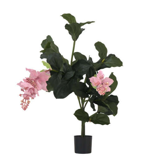 Medinilla Magnifica artificielle - Hauteur 85cm