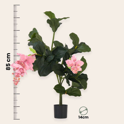 Medinilla Magnifica artificielle - Hauteur 85cm