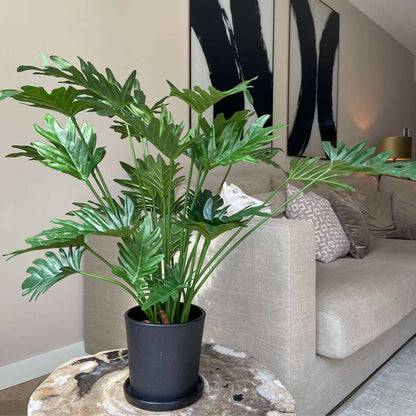 Philodendron artificiel 'Selloum' - Hauteur 65cm