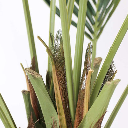 Kentia artificiel - Hauteur 150cm