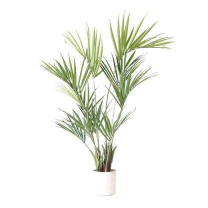 Kentia artificiel - Hauteur 150cm