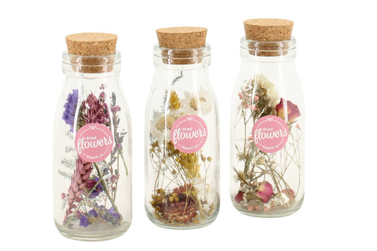 Fleurs séchées - Set de 3 - Dryflower 'Small Bottles'