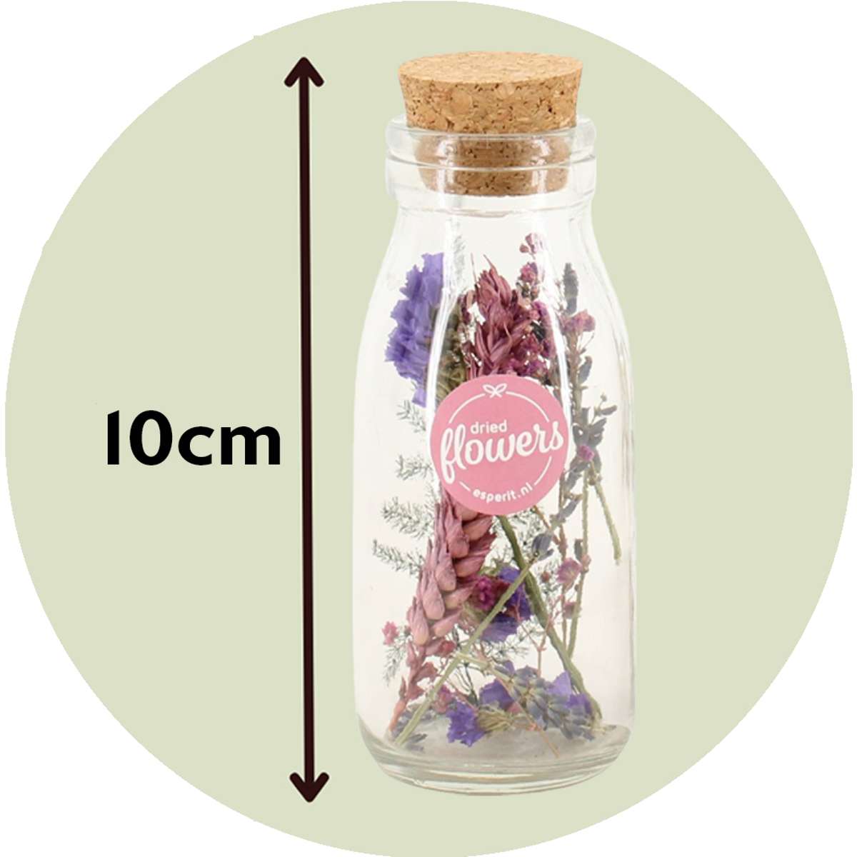 Fleurs séchées - Set de 3 - Dryflower 'Small Bottles'