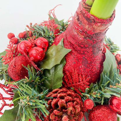 Amaryllis - Hippeastrum 'Couronne de Noël Mix'