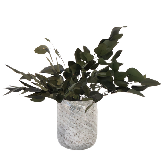 Bouquet de fleurs sèches - Eucalyptus stuartiana