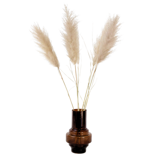 Fleurs séchées - Set de 5 - Dryflower 'Cortaderia Plum'