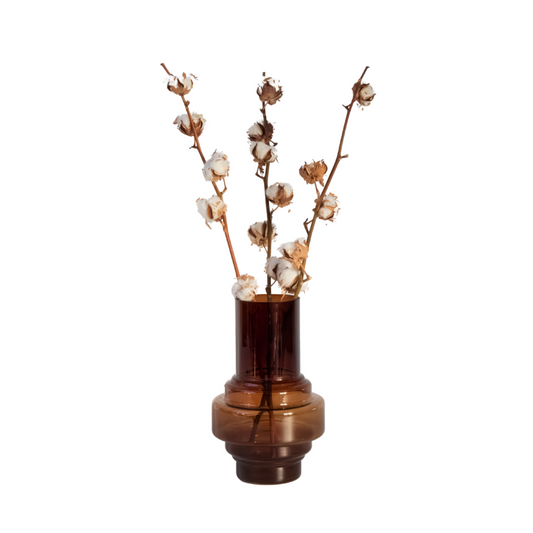 Fleurs séchées - Set de 3 - Bouquet 'Cotton branch'