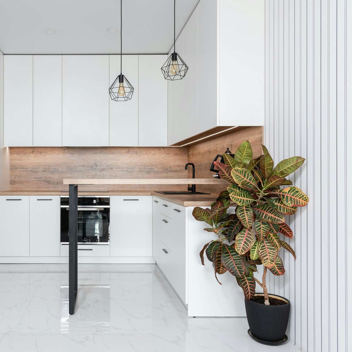 Croton - Codiaeum variegatum 'Mrs. Iceton' - Hauteur 140-150cm - ⌀31cm