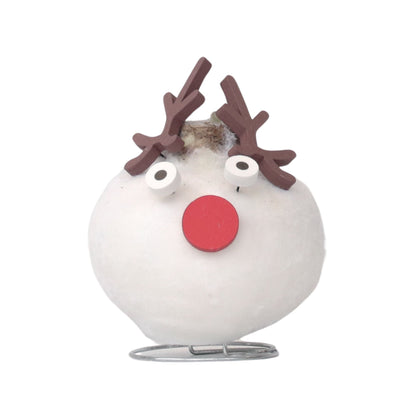 Amaryllis - Hippeastrum 'Spécial Cire Renne'