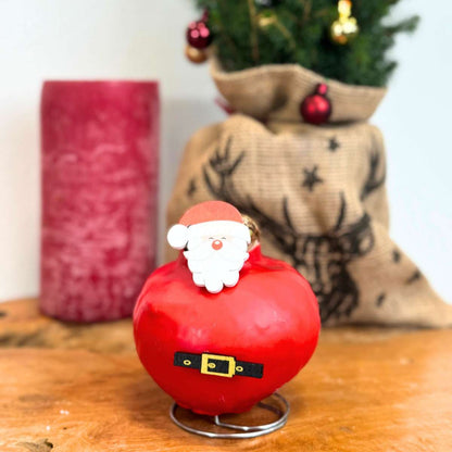 Amaryllis - Hippeastrum 'Spécial Cire Père Noël'