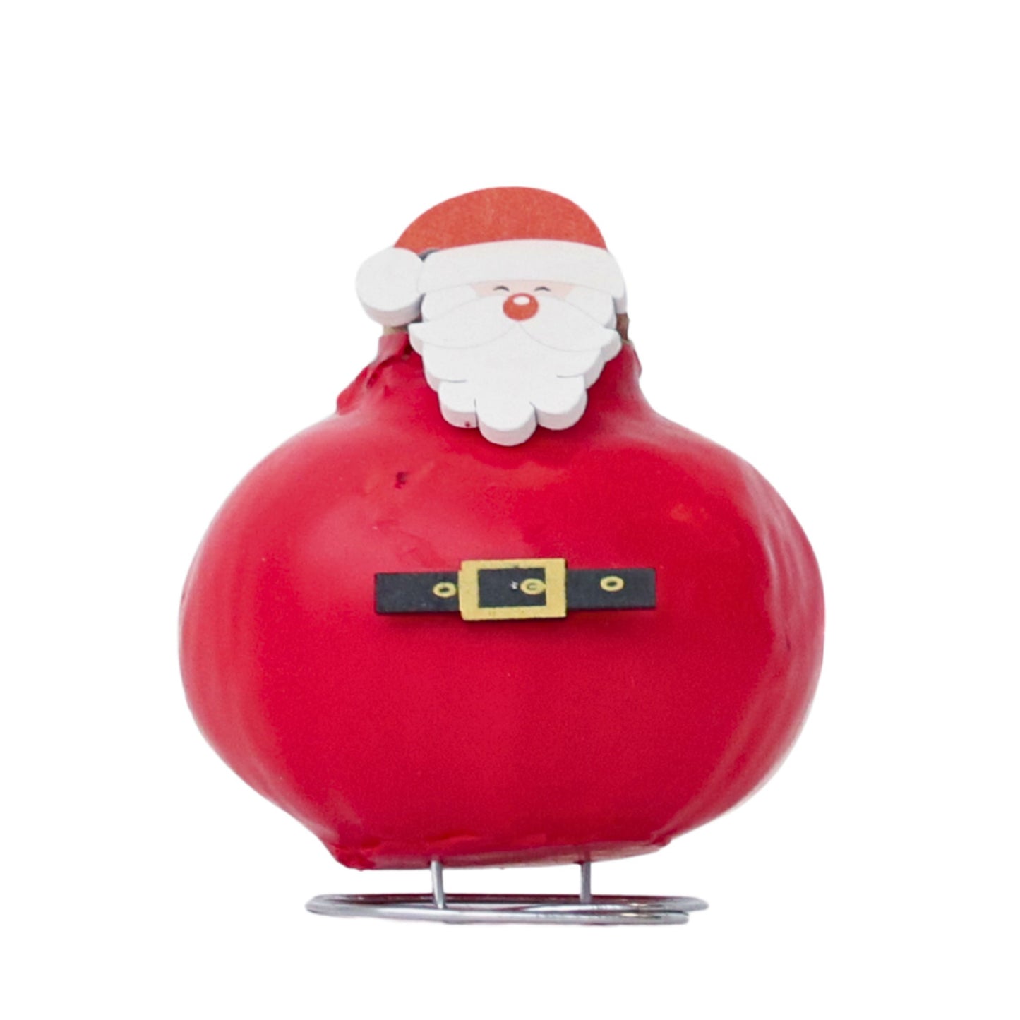 Amaryllis - Hippeastrum 'Spécial Cire Père Noël'