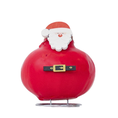 Amaryllis - Hippeastrum 'Spécial Cire Père Noël'