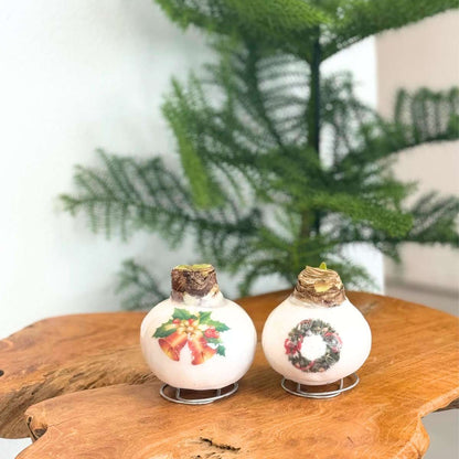 Amaryllis - Hippeastrum 'Couronne en Cire de Porcelaine'