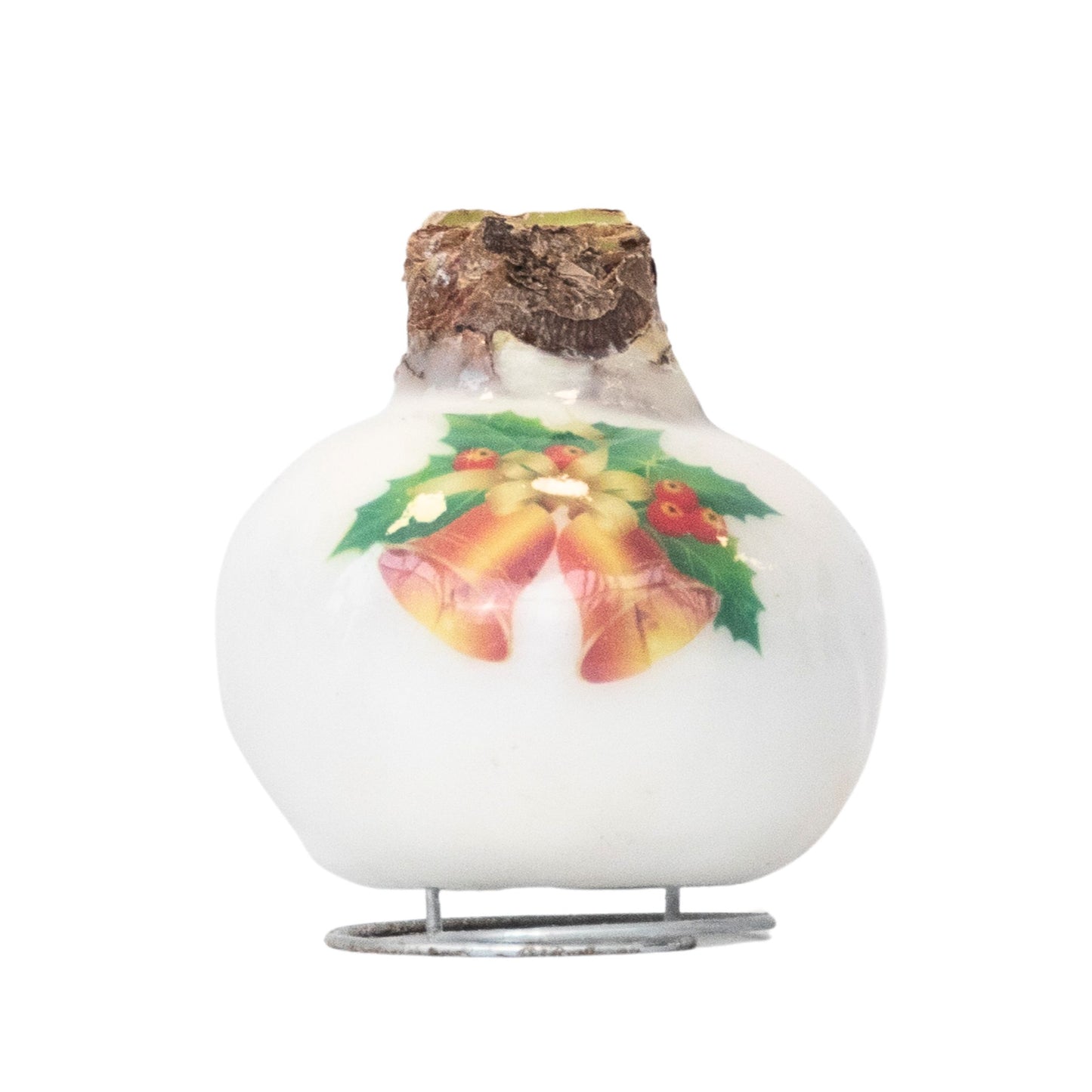 Amaryllis - Hippeastrum 'Clochettes en Cire de Porcelaine'