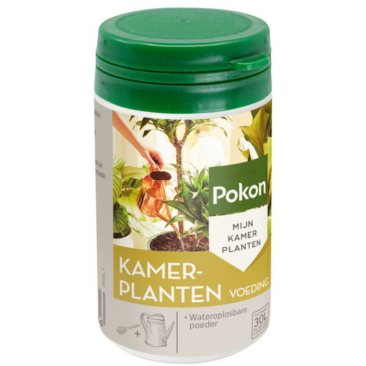 Pokon engrais pour plantes d’intérieur en poudre – 100 grammes